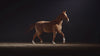 Slow-motion horse running in a circle in a misty arena